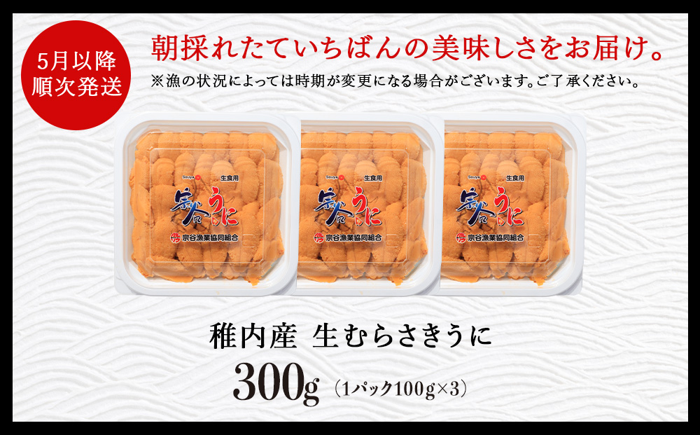 ãå
è¡äºçŽãããã«ã®åç£å°çšå
åžãæå端ã®çãããããã«(100gããã¯Ã3) ãã« ãŠã ã ã©ãµããŠã