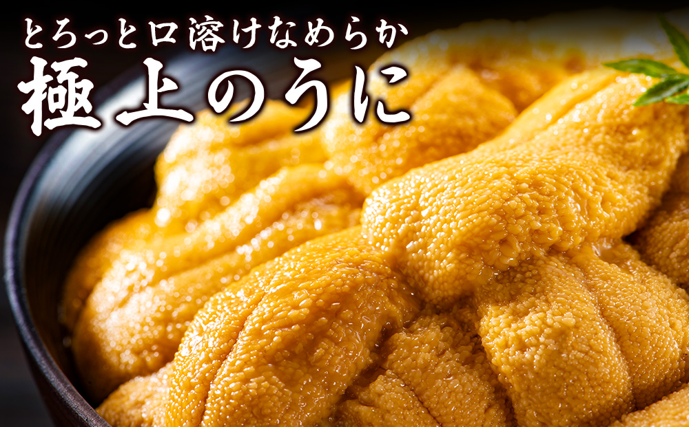 【先行予約】【厳選PREMIUM】美味しいウニは昆布の名産地にあり!生むらさきうに120g