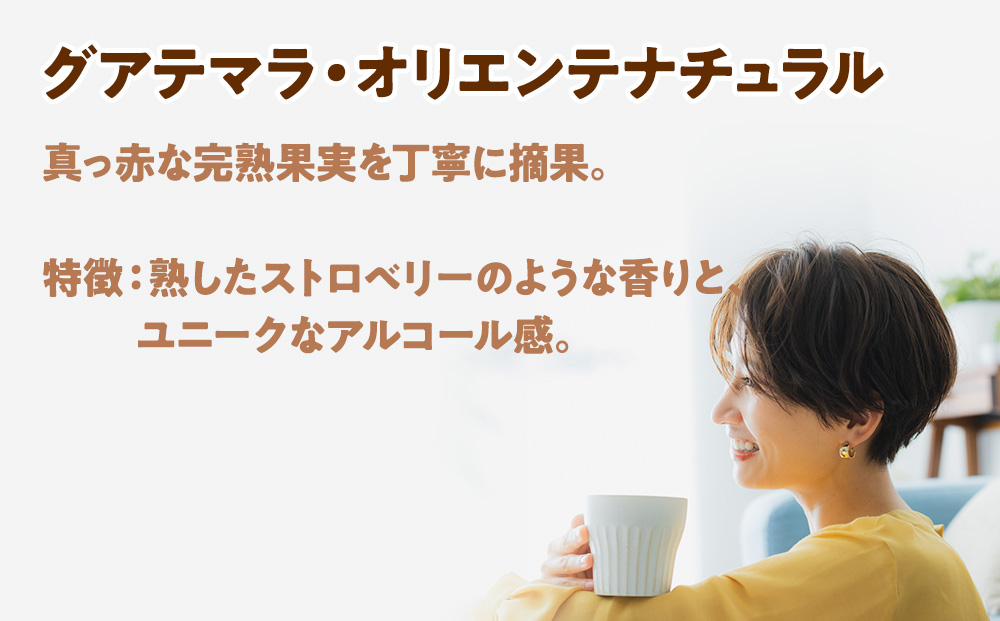自家焙煎珈琲　ドリップバッグコーヒー グアテマラ・オリエンテナチュラル 12袋《中深煎り》
