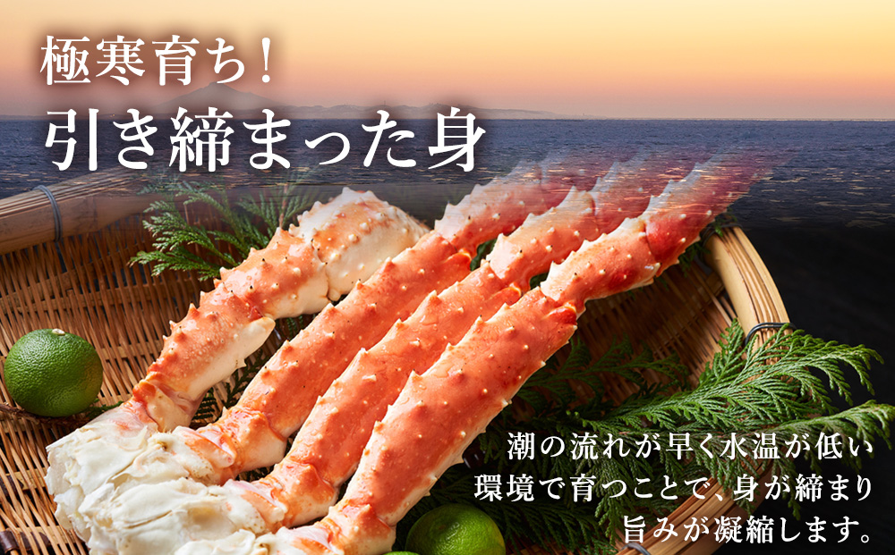 2024幎12æèªç€Ÿãã€ã«è£œé ãã€ã«ã¿ã©ãã¬ãè¶³ 5LçŽ1kg