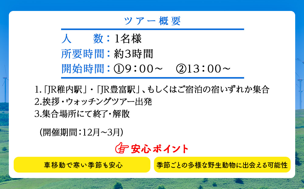 繝ッ繧キ縲√す繧ォ縲√い繧カ繝ゥ繧キシ∵怙蛹励ョ繧「繝九槭Ν繧ヲ繧ゥ繝繝√Φ繧ー繝繧「繝シ1蜷肴ァ