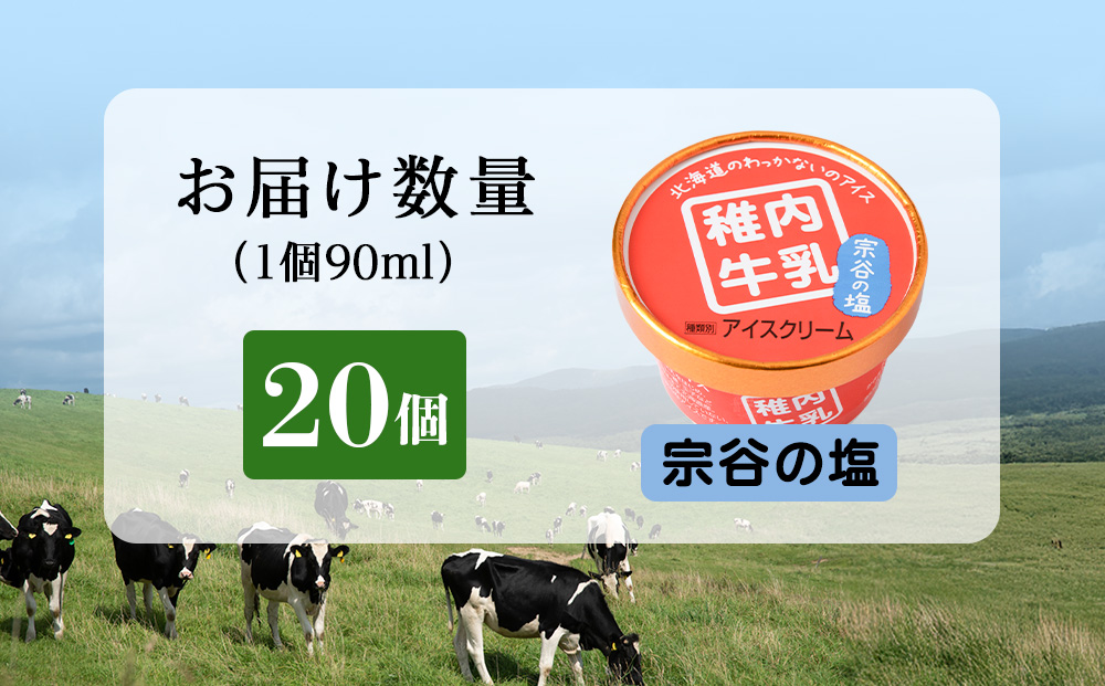 稚内牛乳 アイスクリーム 宗谷の塩　20個セット（各90ml）