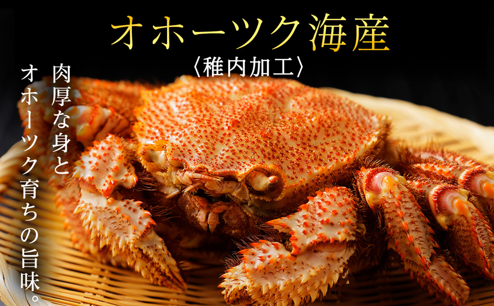 ãã€ãã¹70âåçµã»ããããã§æ¯ã¬ããšãã¿ãçå·ãÃ2ã»ãã