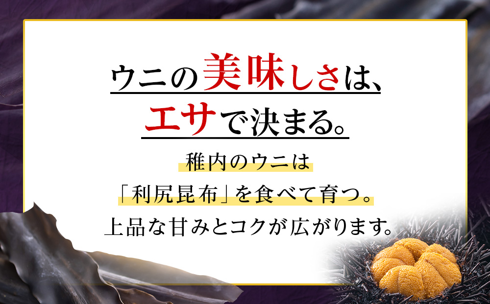 【厳選品】生ムラサキウニ木箱入り120g