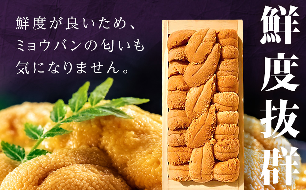 【厳選品】生ムラサキウニ木箱入り120g