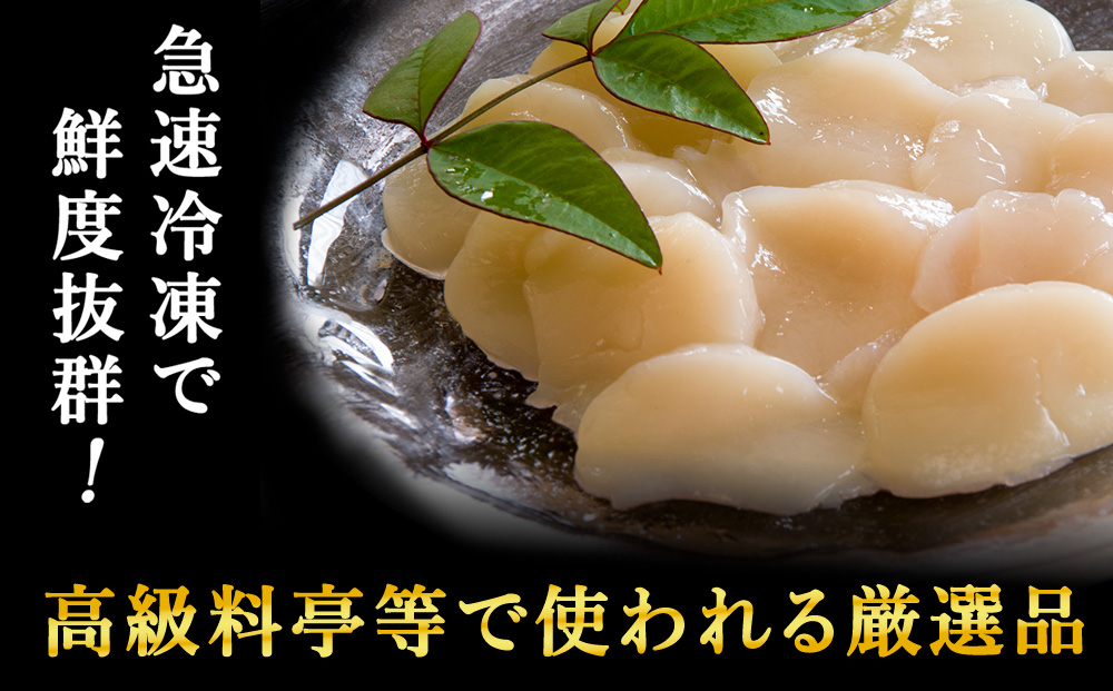 【6月発送】＜厳選品＞　ホタテ貝柱 500g 刺身 海鮮