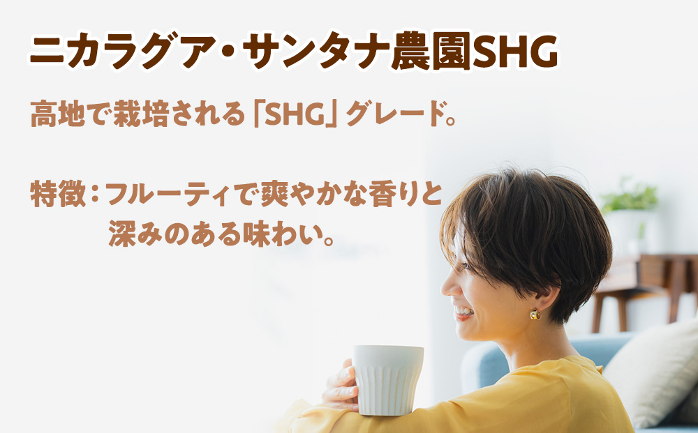 自家焙煎珈琲　ドリップバッグコーヒー ニカラグア・サンタナ農園SHG 12袋