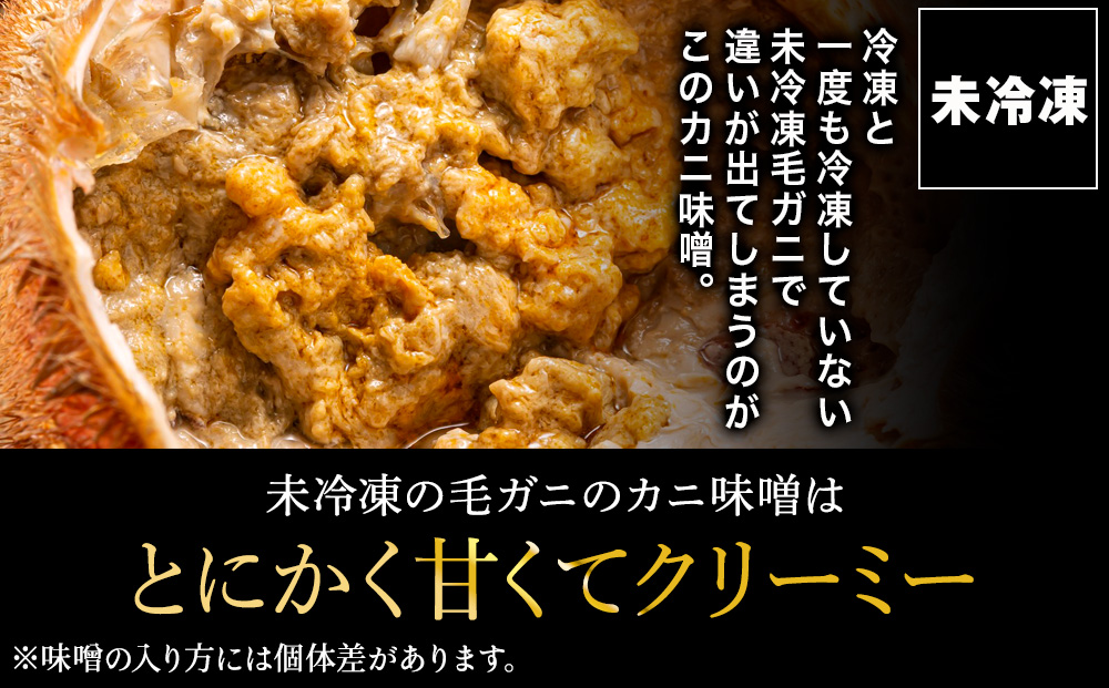 縲先悴蜀キ蜃阪∝キ阡オ逋コ騾! 2026蟷エ譁ー迚ゥ縲第・オ繝サ遞壼逕」豈帙ぎ繝800g縲900g 豬懆源縺ァ繝√Ν繝