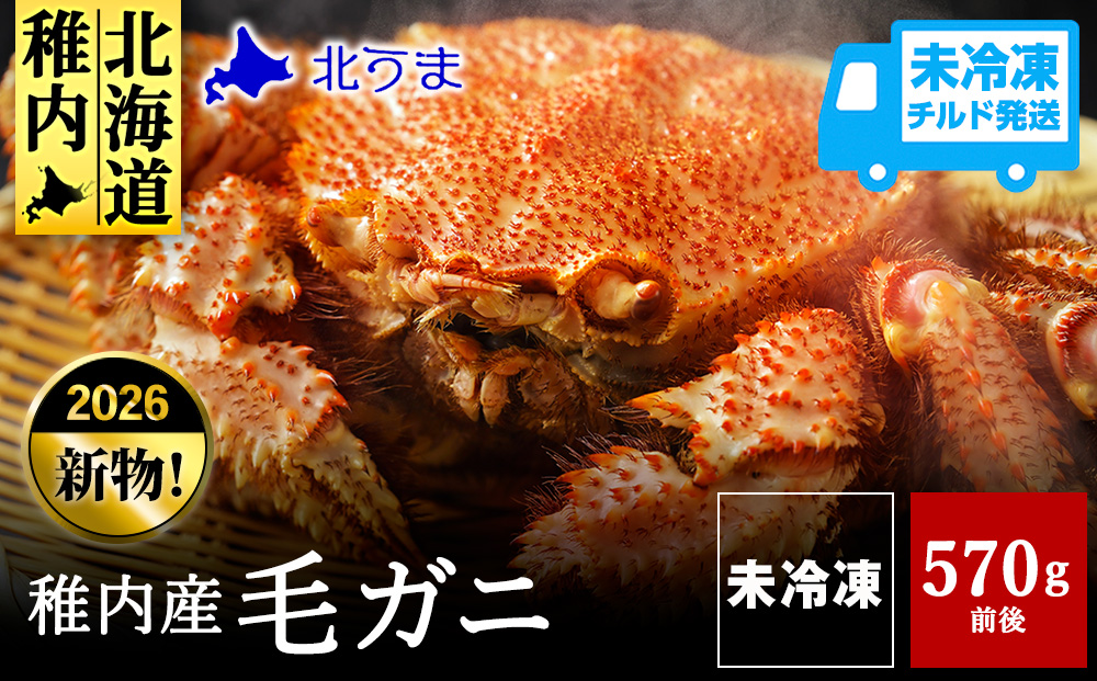 【未冷凍、冷蔵発送! 2026年新物】極・稚内産毛ガニ570g〜670g 浜茹でチルド