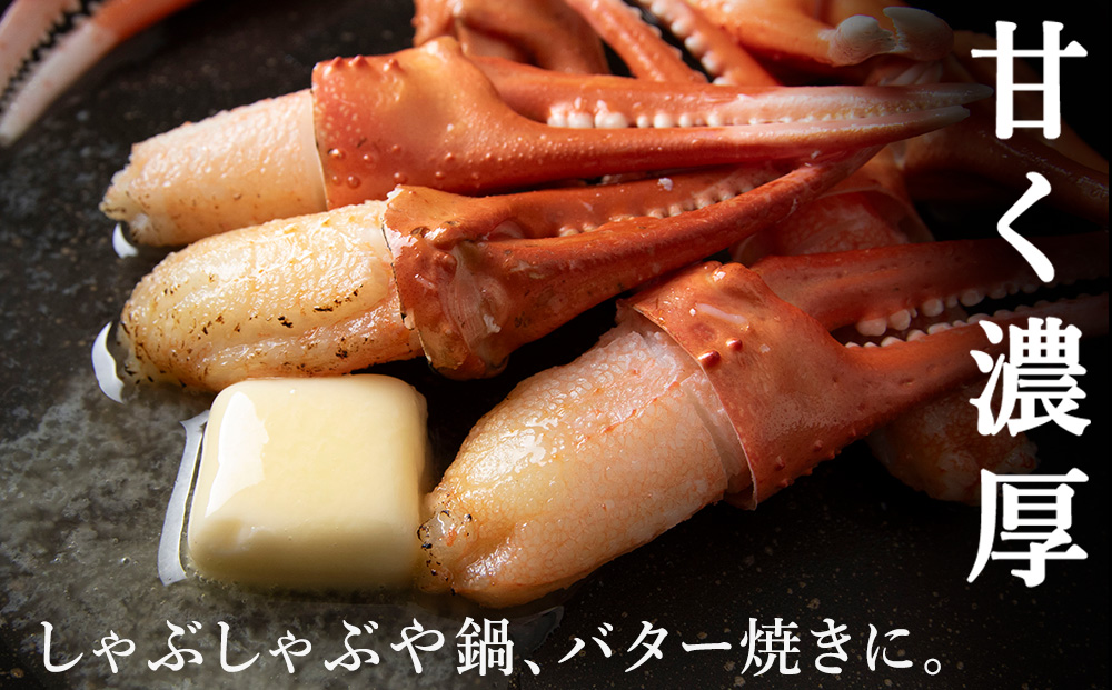 【5月発送】【厳選品】むき済 紅ズワイガニ爪 500g 海鮮