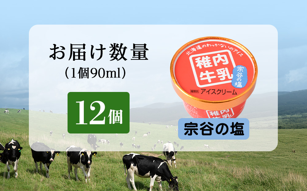 稚内牛乳 アイスクリーム 宗谷の塩　12個セット（各90ml）