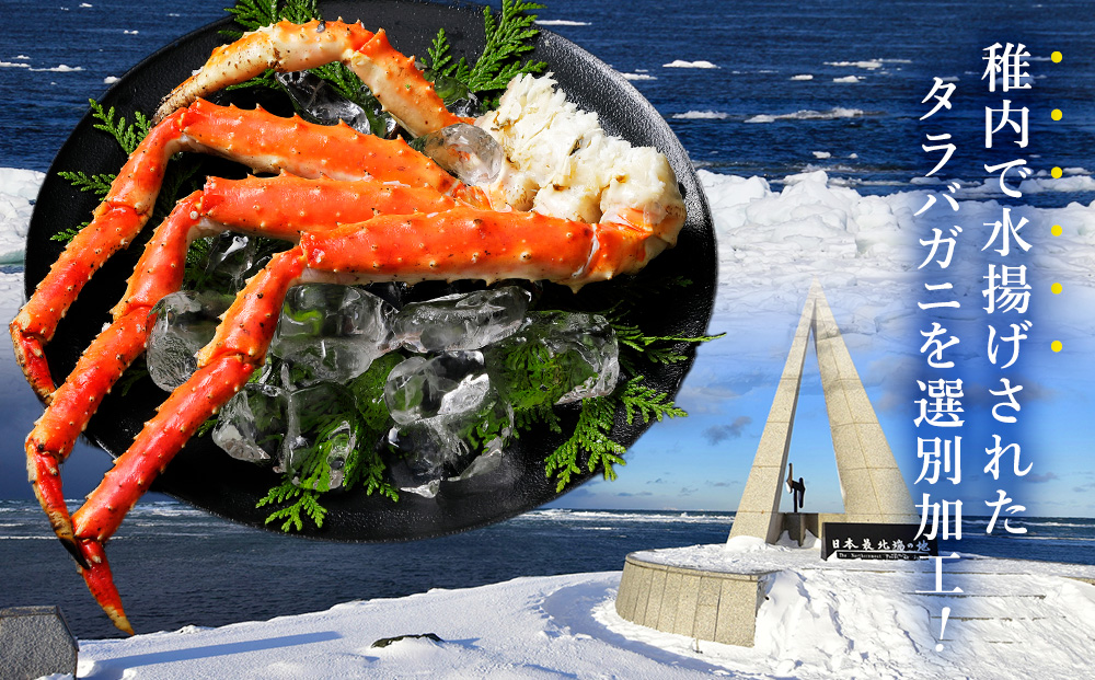 【希少】稚内産　ジャンボ　タラバガニ脚　1.3kg前後