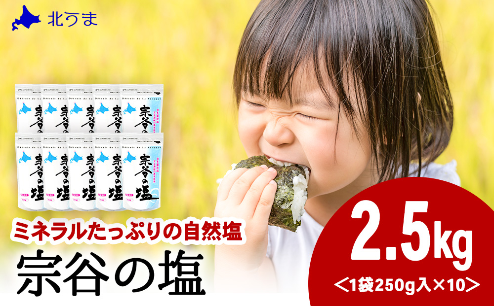 宗谷の塩250g×10袋