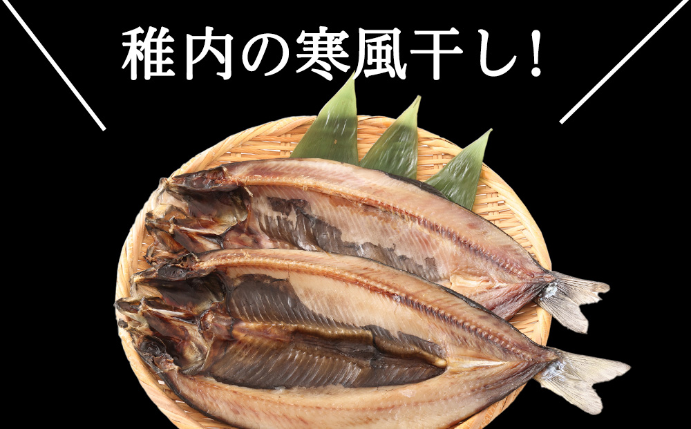 【定期便12ヶ月】一夜干し 開き にしん 5枚セット【北海道の居酒屋気分】