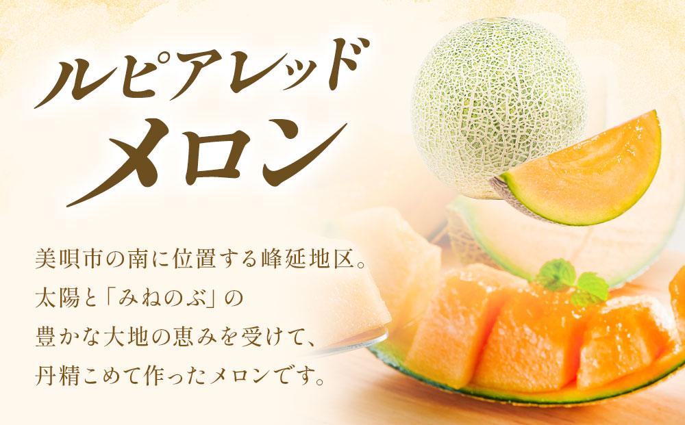【2026年発送】【先行予約】【数量限定】美唄市産ルピアレッドメロン３玉（赤肉）