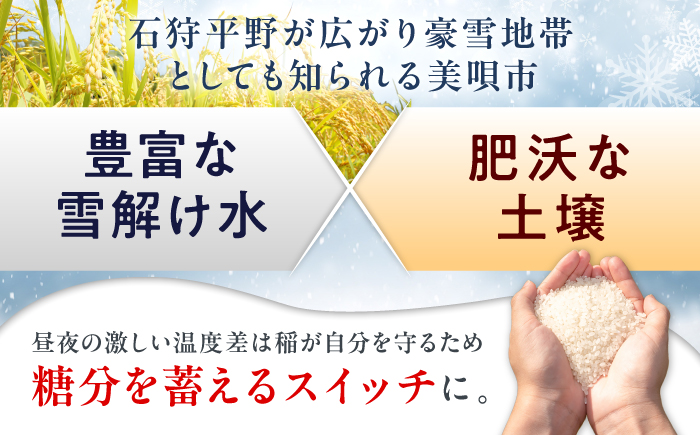 【先行予約】【3回定期便/固定月】 無洗米 令和8年産 北海道 ゆめぴりか 精米 10kg （5kg×2袋）| 2026年11月以降順次発送 | 白米 お米 米 北海道産 コメ | 株式会社松原米穀 [BOCG037]