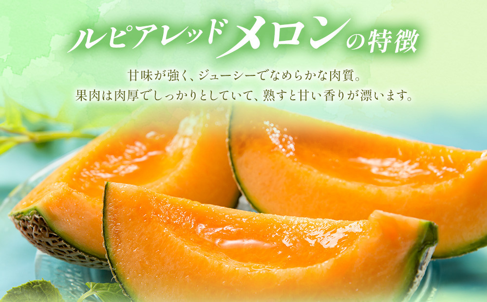 【2026年発送】【先行予約】【数量限定】美唄市産ルピアレッドメロン２玉（赤肉）