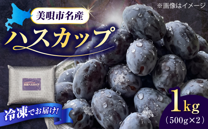 アンテナショップPiPaセレクト 美唄産のハスカップ1.0kg（500g×2） [BOAK072]