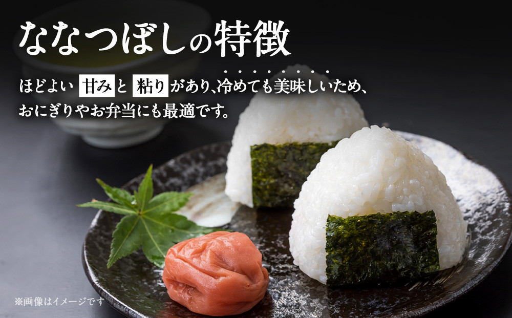 【令和７年産米】 北海道産ななつぼし　精米5kg【国産 白米 精米 お米 単一原料米 厳選精米 厳選 マイスター 生活応援 ななつぼし おすすめ 北海道 美唄市 美唄】 ●
