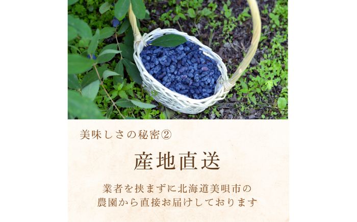 ハスカップコンフィチュールとジャム セット 計1.2kg（200g×6袋） | ハスカップ ジャム 保存料 無添加 北海道 | 有限会社ヤマキ山本靖商店 [BOCB005]