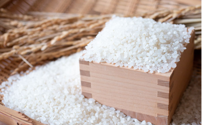 【令和7年産米】 北海道産 ななつぼし 5kg | 米 お米 白米 精米 ななつぼし | 株式会社SKFグループ [BOAY001]