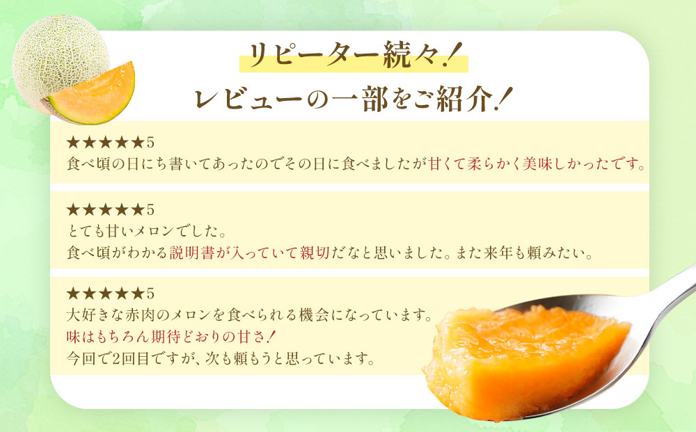 【2026年発送】【先行予約】【数量限定】美唄市産ルピアレッドメロン３玉（赤肉）