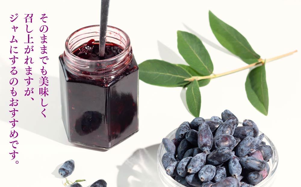 蛹玲オキ驕鍋セ主売逕」繝上せ繧ォ繝繝暦シ600gシ