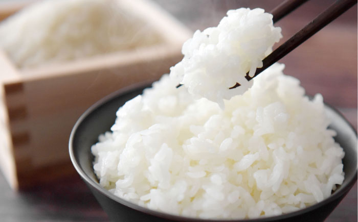 【3回定期便】 令和7年産米 北海道産 ゆめぴりか 5kg | 米 お米 白米 精米 ゆめぴりか | 株式会社SKFグループ [BOAY015]