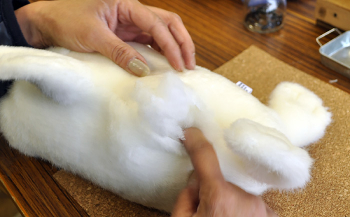 ぬいぐるみ 手作りキット アザラシ 1個 | 動物園 自由研究 工作 ハンドメイド 体験 | ZOOプランニング [BOAI006]