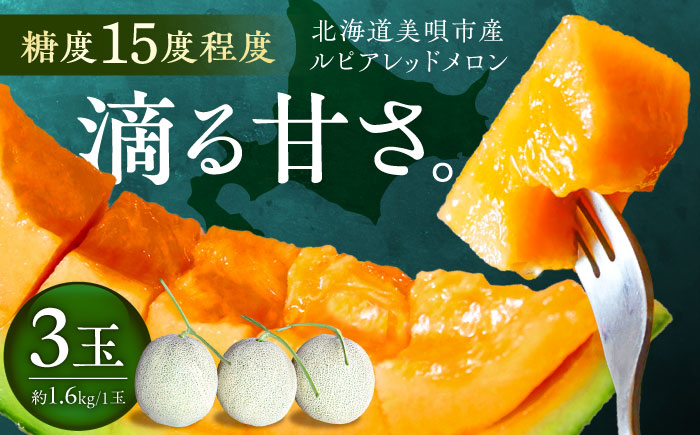 【2026年7月～順次発送】 赤肉 メロン ルピアレッド 3玉 | 赤肉メロン めろん 先行予約 北海道 メロン赤肉 | JAみねのぶ [BOAG008]