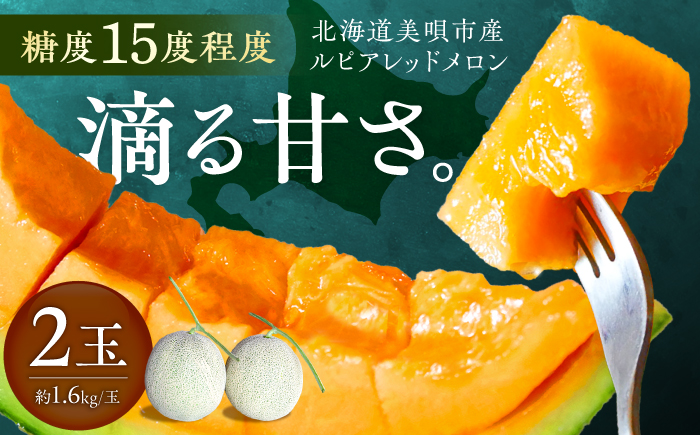 【2026年7月〜順次発送】 赤肉 メロン ルピアレッド 2玉 | 赤肉メロン めろん 先行予約 北海道 メロン赤肉 | JAみねのぶ [BOAG007]