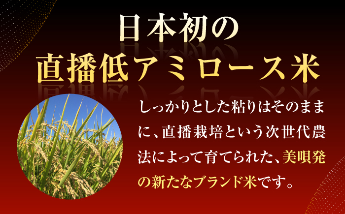 【3回定期便/毎月】 北海道 さんさんまる 精米 5kg | 白米 お米 米 北海道産 コメ | 株式会社松原米穀 [BOCG003]