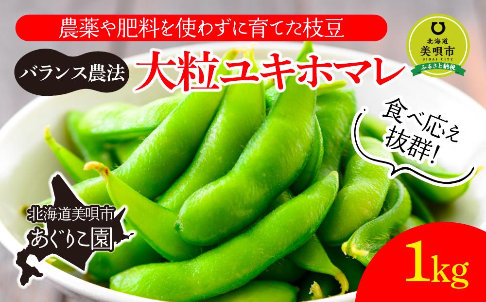 【先行予約】【バランス農法】農薬や肥料を使わずに育てた枝豆　大粒ユキホマレ　1kg（2025年9月上旬発送予定）