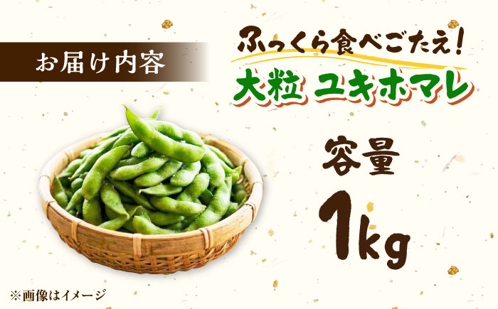 【バランス農法】 枝豆 1kg (大粒ユキホマレ) | えだまめ 野菜 豆 産地直送 北海道 | あぐりこ園 [BOAA005]