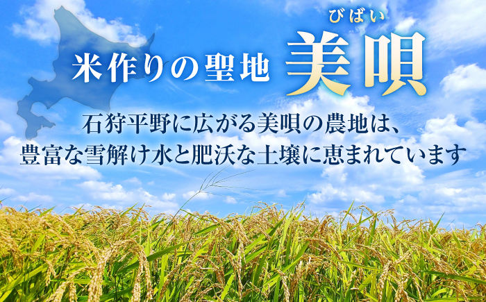 【4回定期便】令和7年産 北海道米 ななつぼし5kg・ゆめぴりか5kg 食べ比べ定期便 | 米 お米 白米 ゆめぴりか ななつぼし | 株式会社SKFグループ [BOAY019]