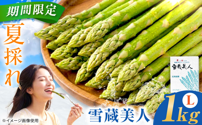 【夏アスパラ】雪蔵美人 アスパラガス Lサイズ 1kg | アスパラ グリーンアスパラ アスパラガス 北海道 夏野菜 | JAびばい [BOCC002]
