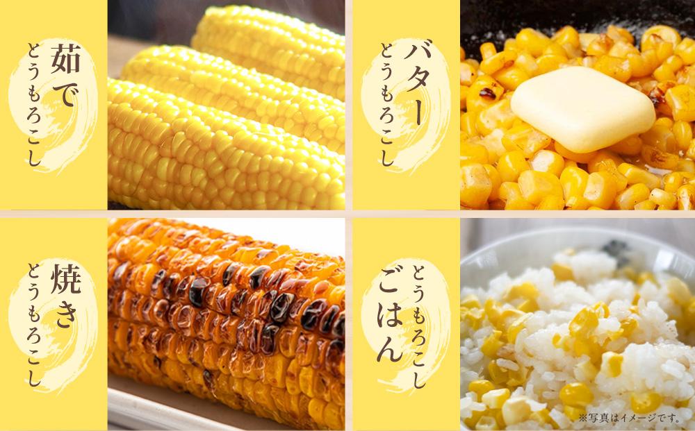 【2026年発送】【先行予約】【数量限定】北海道産スイートコーン　１０本入　