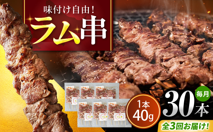 【3回定期便/毎月】ラム串 30本  | ラム ラム肉 羊肉 仔羊 北海道 | ストレイシープ [BOAP026]