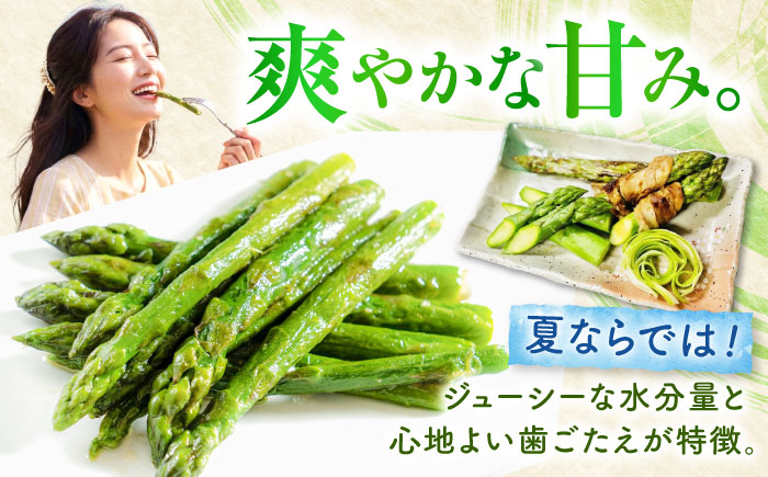 【夏アスパラ】【7月中旬順次発送】雪蔵美人 アスパラガス Lサイズ 1kg | アスパラ グリーンアスパラ アスパラガス 北海道 夏野菜 | JAびばい [BOCC002]
