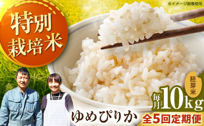 【全5回定期便】【令和7年産】伊藤農園の特別栽培米 ゆめぴりか 胚芽米 10kg  | 米 お米 特別栽培米 胚芽米 北海道産 ゆめぴりか | 伊藤農園 [BOAT006]