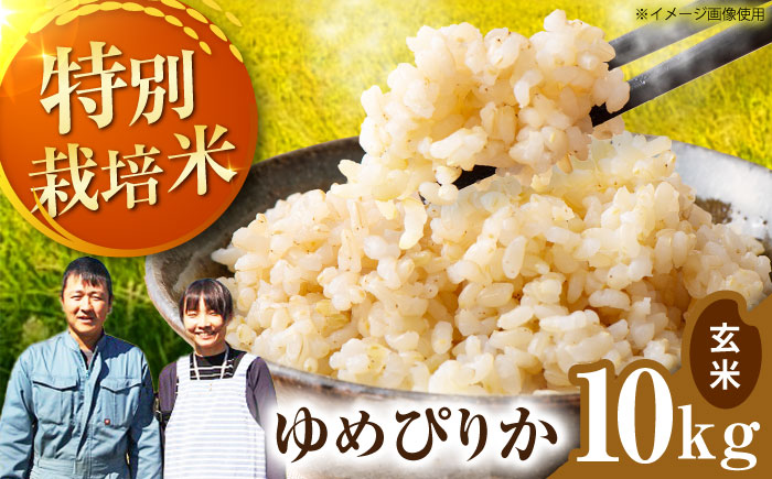 【令和7年産】伊藤農園の特別栽培米 ゆめぴりか 玄米 10kg  | 米 お米 特別栽培米 玄米 北海道産 ゆめぴりか | 伊藤農園 [BOAT005]