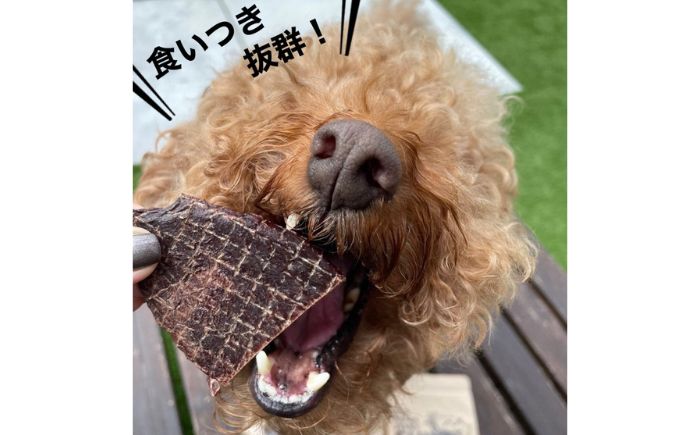 エゾシカ ジャーキー 150g (30g×5袋) | ペットフード 犬用 おやつ 鹿肉 ペットジャーキー  | 株式会社Mt. [BOAX008]
