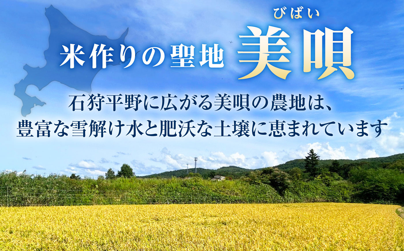 【先行予約】【6回定期便】 令和8年産 北海道産 ななつぼし 5kg | 米 お米 白米 新米 ななつぼし | 株式会社SKFグループ [BOAY036]