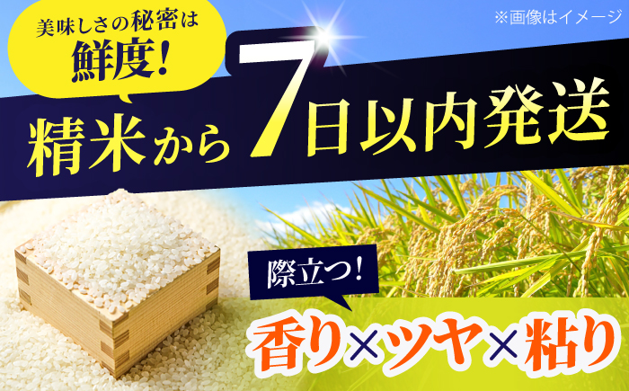 北海道産 ゆめぴりか 10kg (5kg×2袋) | 特Aランク お米 米 精米 白米 | 北海道ふるさとセンター [BOBY002]