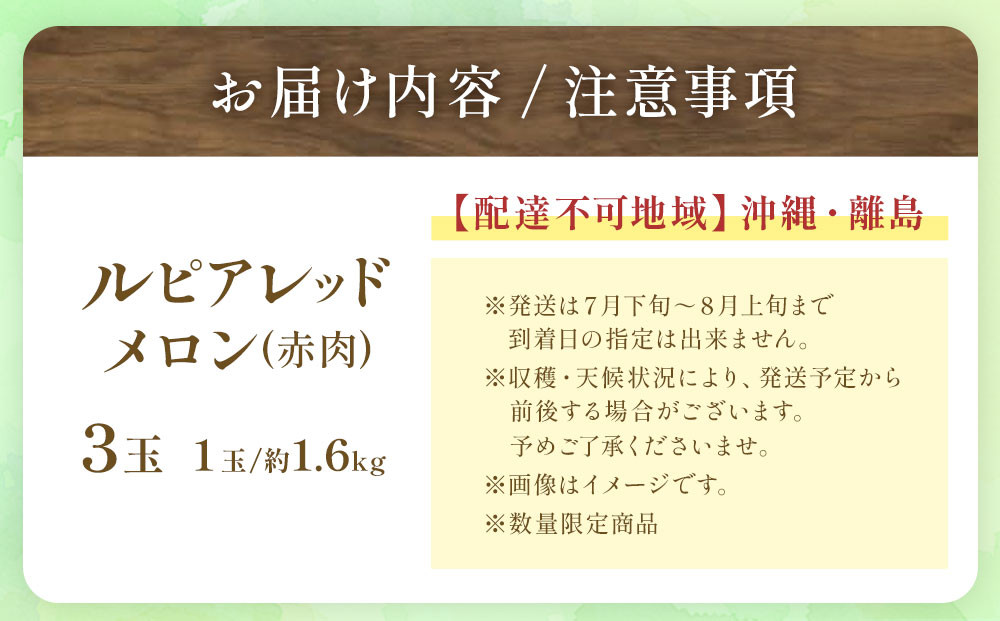 【2026年発送】【先行予約】【数量限定】美唄市産ルピアレッドメロン３玉（赤肉）