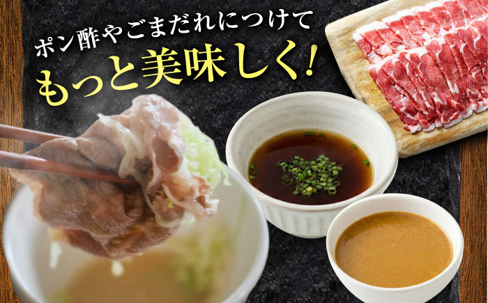 ラム肉 しゃぶしゃぶ 3kg（500g×6パック） | ラム ラム肉 羊肉 仔羊 北海道 | ストレイシープ [BOAP004]