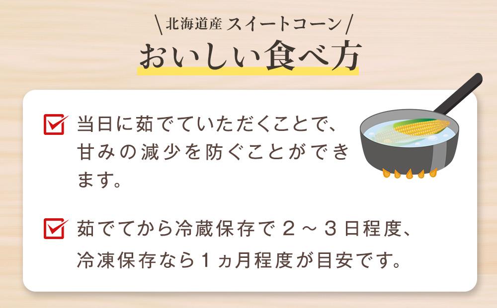 【2026年発送】【先行予約】【数量限定】北海道産スイートコーン　１０本入　