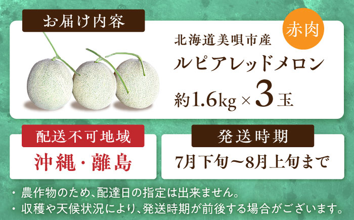 【2026年7月〜順次発送】 赤肉 メロン ルピアレッド 3玉 | 赤肉メロン めろん 先行予約 北海道 メロン赤肉 | JAみねのぶ [BOAG008]