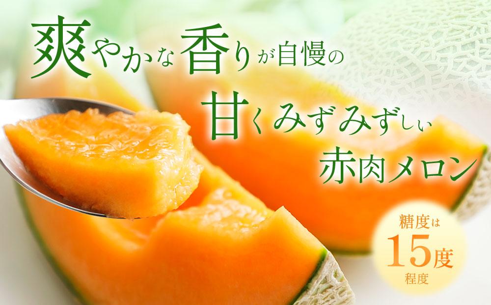 【2026年発送】【先行予約】【数量限定】美唄市産ルピアレッドメロン２玉（赤肉）