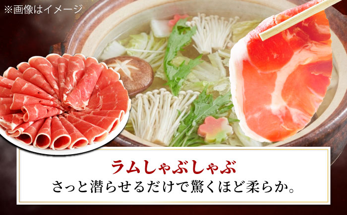 【3回定期便/毎月】ラム肉 3種 計2.6kg  | ラム ラム肉 羊肉 仔羊 北海道 | ストレイシープ [BOAP020]